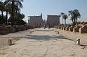 041. luxor temple